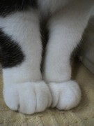 �摜(135x180)�E�g��摜(240x320)