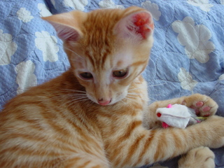 �摜(320x240)�E�g��摜(640x480)