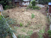 �摜(180x135)�E�g��摜(512x384)