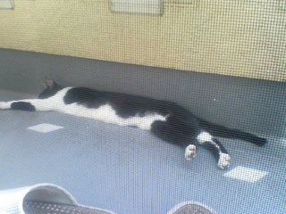 �摜(320x240)�E�g��摜(640x480)