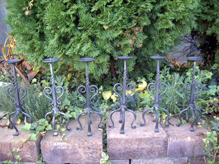 �摜(320x240)�E�g��摜(512x384)