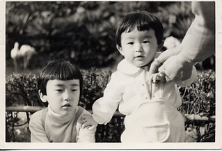 �摜(320x217)�E�g��摜(423x288)